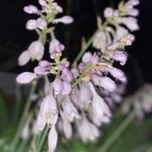 Meet your Posher, Martha